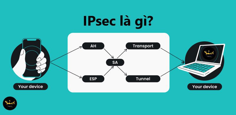 IPsec là gì? Tổng hợp thông tin về IPSec mà bạn cần biết 