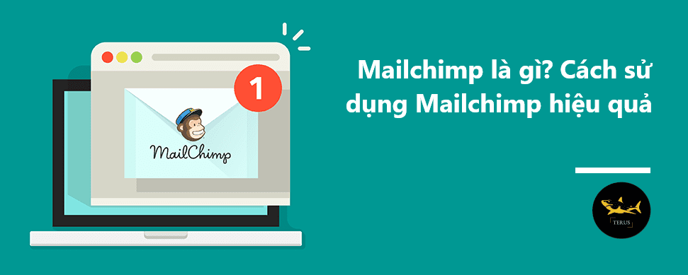 Mailchimp là gì? Cách sử dụng Mailchimp hiệu quả
