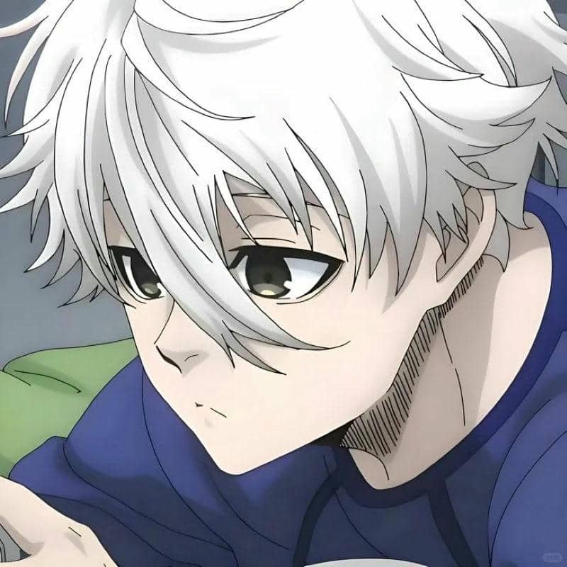 ảnh avatar nagi ngầu