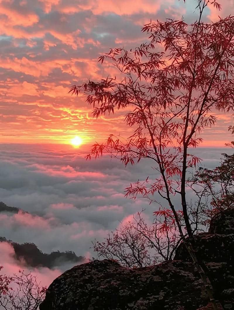 ảnh bình minh đẹp nhất thế giới