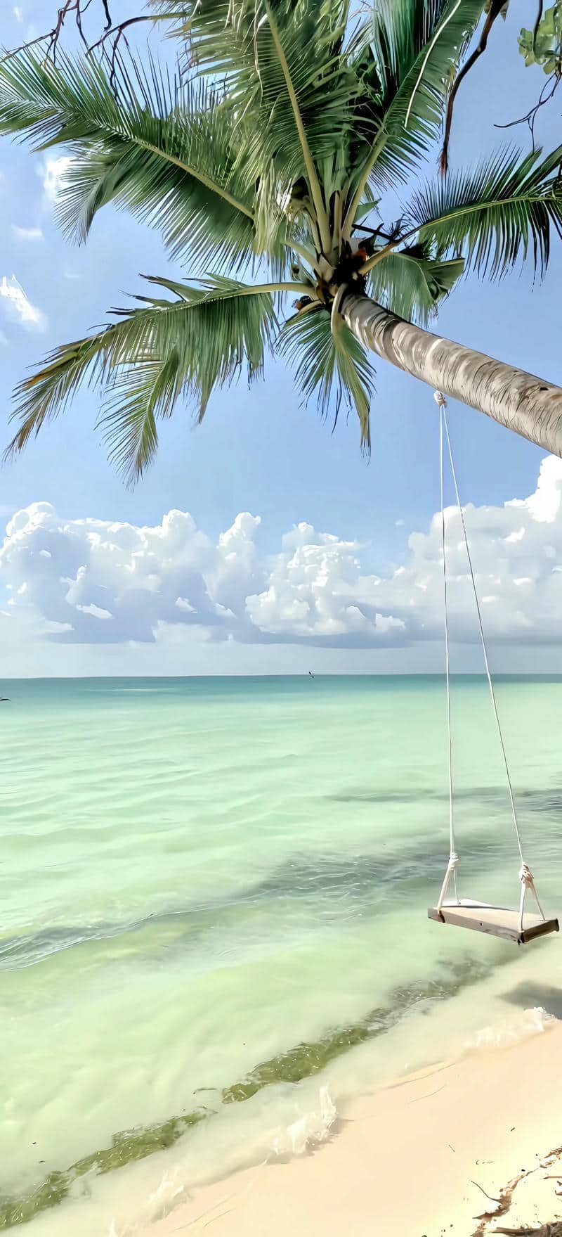 ảnh hình nền đt mùa hè đẹp