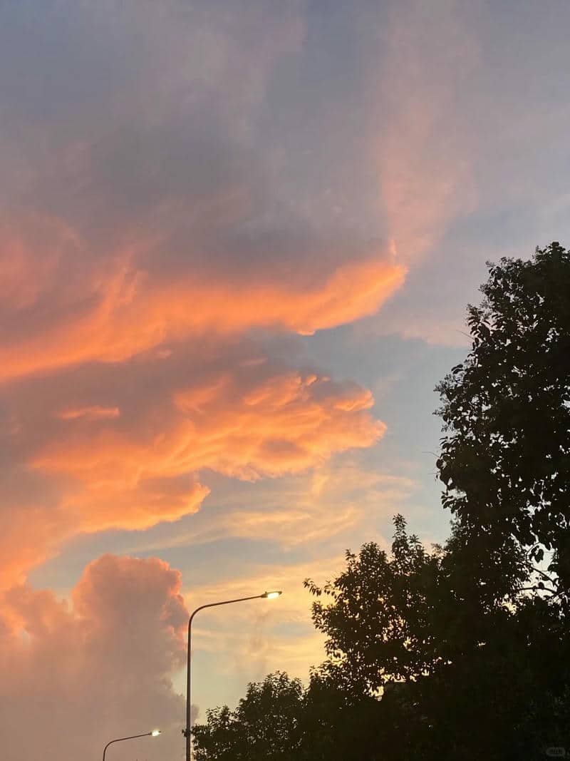 hinh-blog-terus