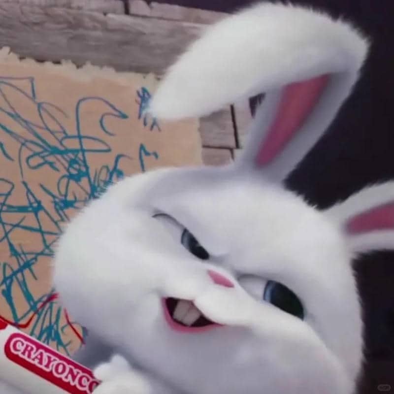 hình thỏ snowball đáng yêu