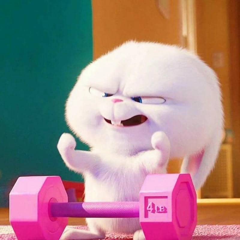 hình thỏ snowball dễ thương