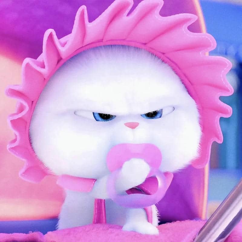 hình thỏ snowball