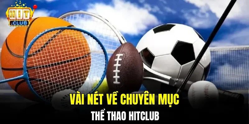 hinh-blog-terus