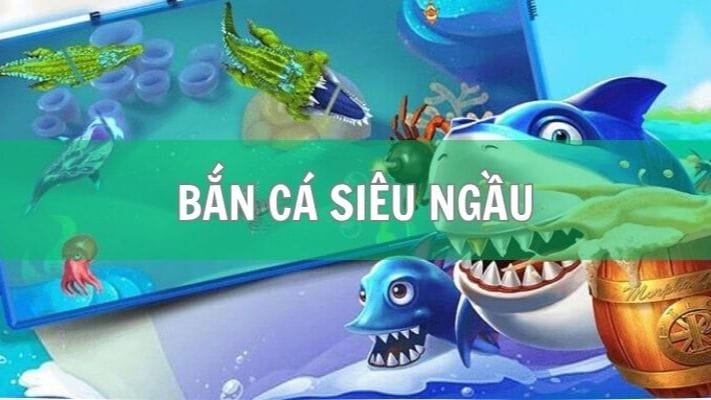 hinh-blog-terus