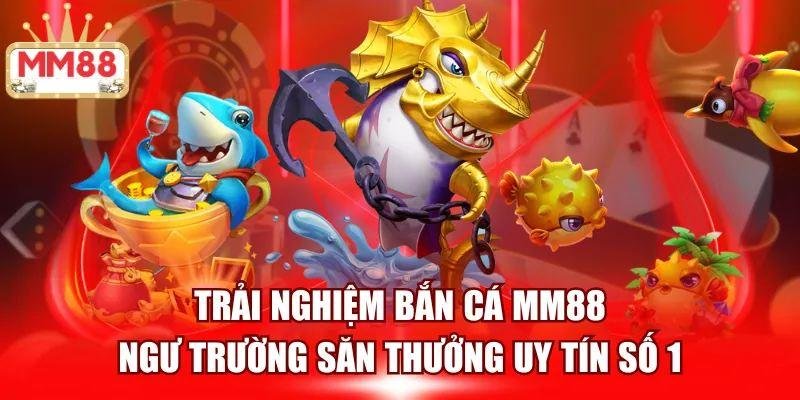 hinh-blog-terus