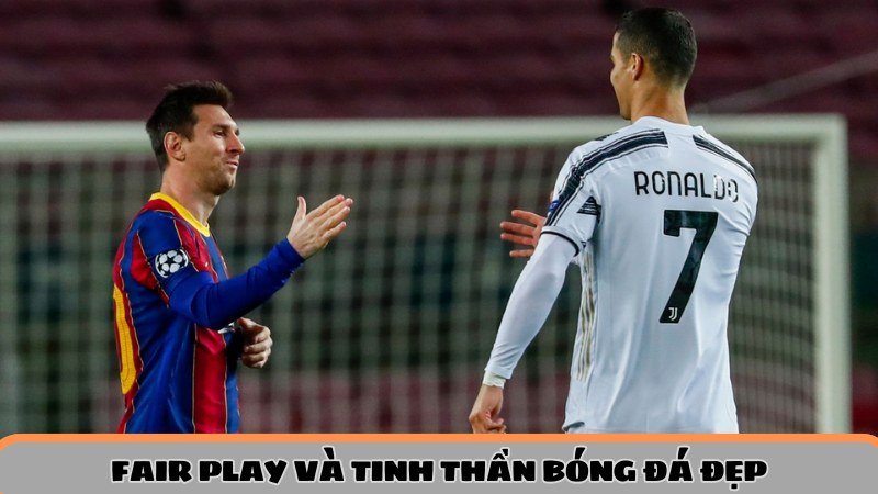 hinh-bai-viet