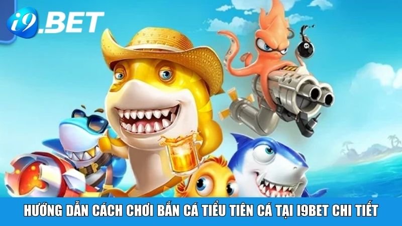 Bài viết liên quan terus