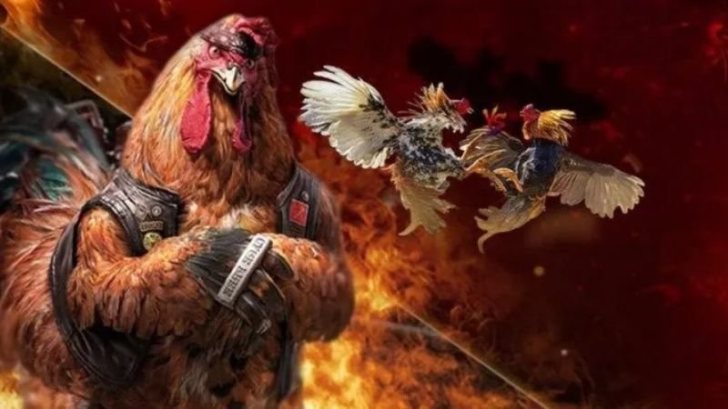 Bài viết liên quan terus