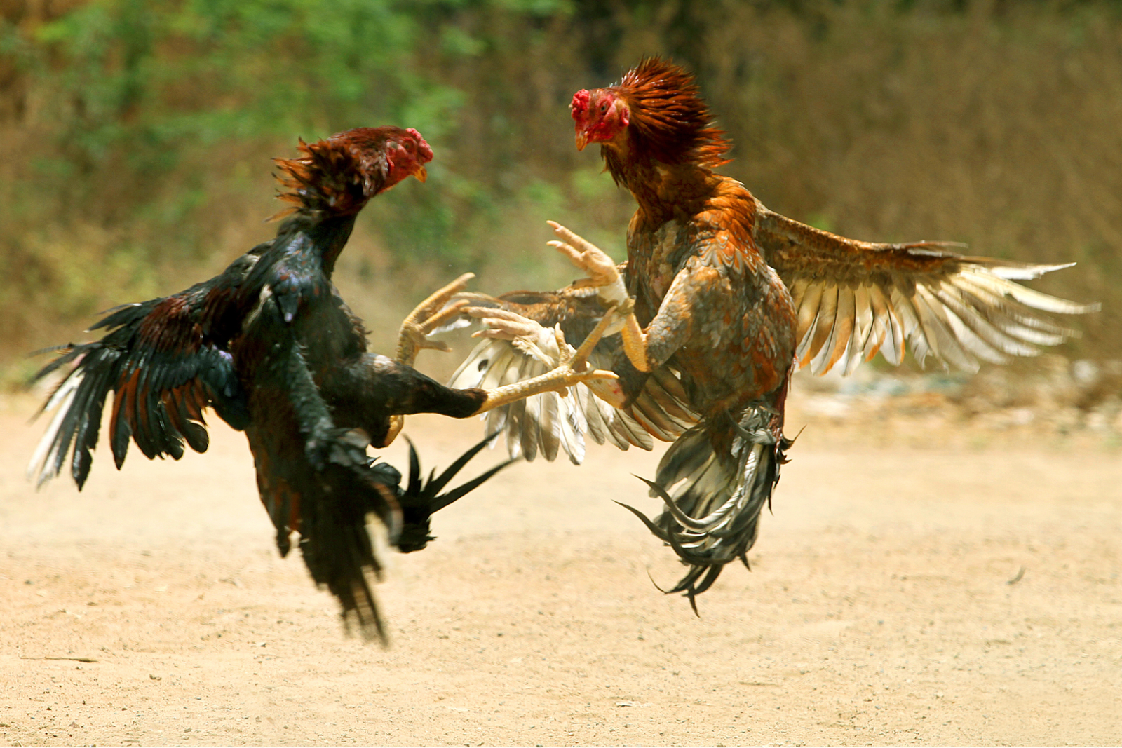 Bài viết liên quan terus
