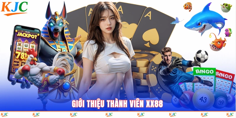 hinh-bai-viet