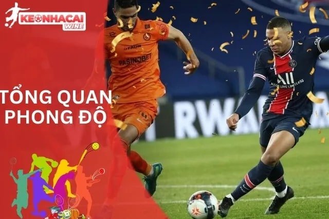 Bài viết liên quan terus