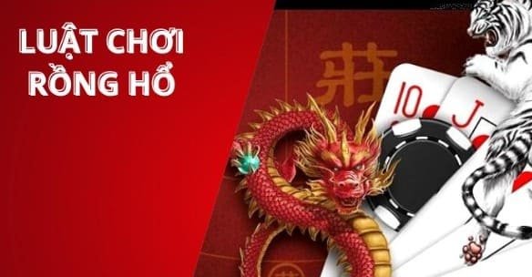hinh-bai-viet
