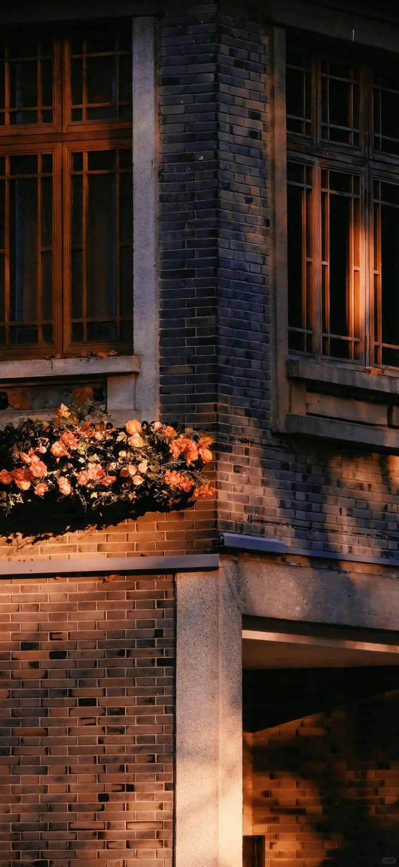 Bài viết liên quan terus