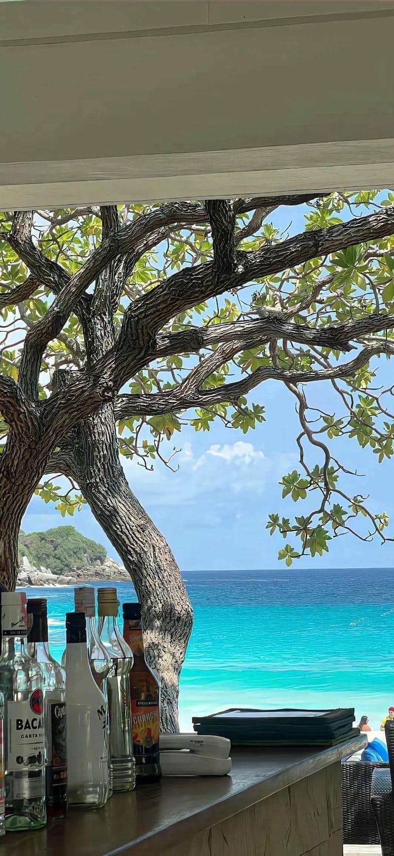 Thumbnail Tổng hợp 99+ hình nền iPhone đẹp, sắc nét và hiện đại nhất