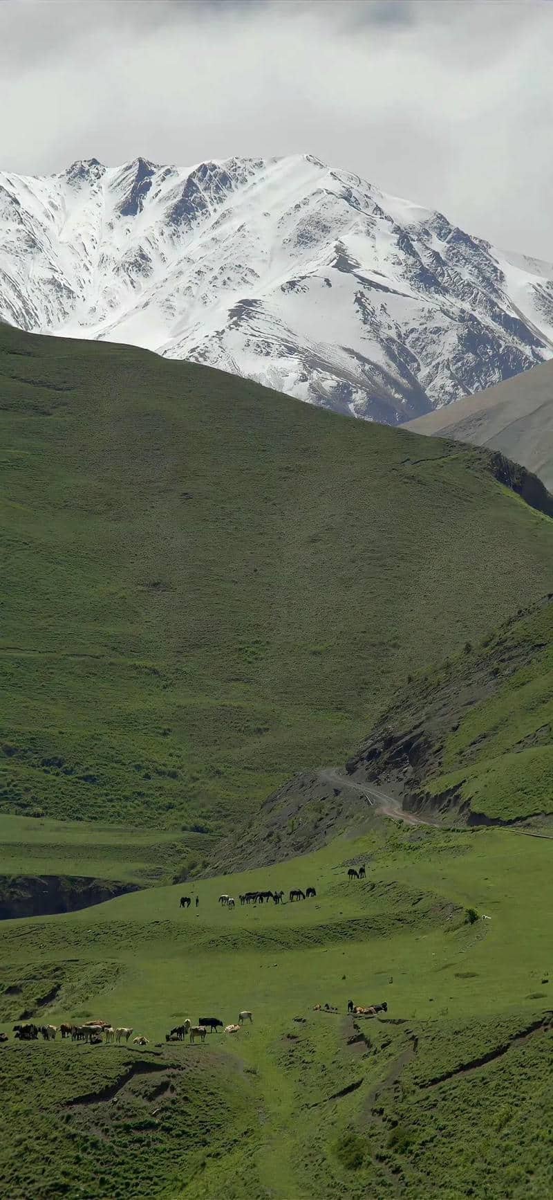 hình nền Iphone 15 (10)