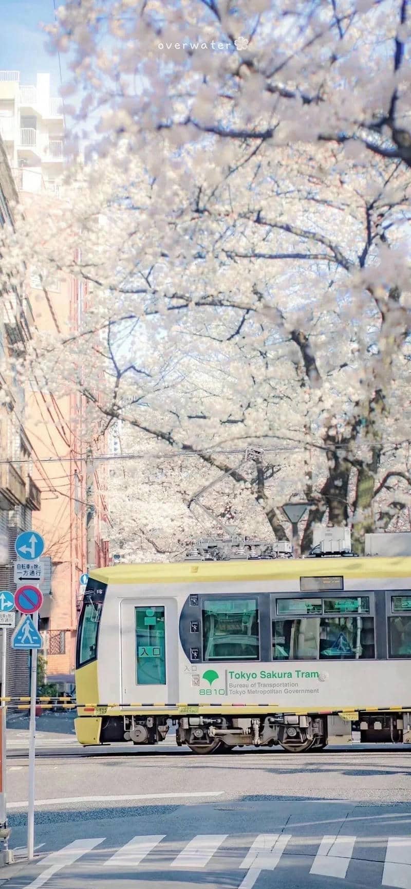 hình nền Iphone 15 (13)