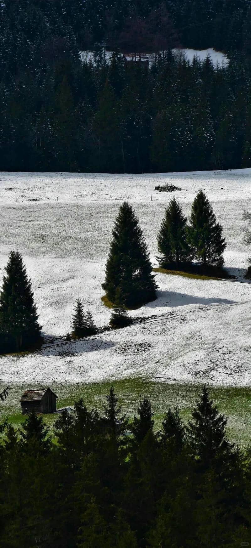 hình nền Iphone 15 (15)