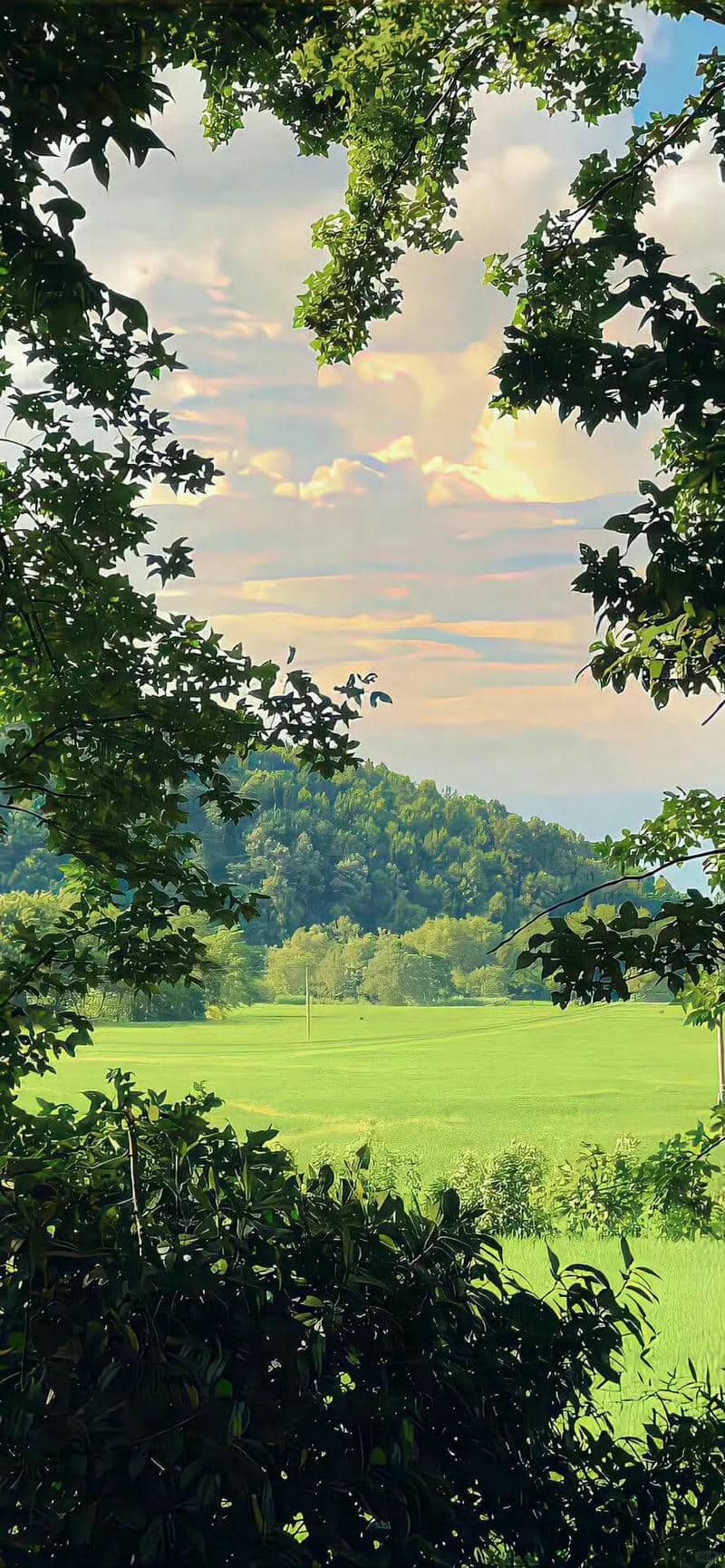 hình nền Iphone 15 (19)