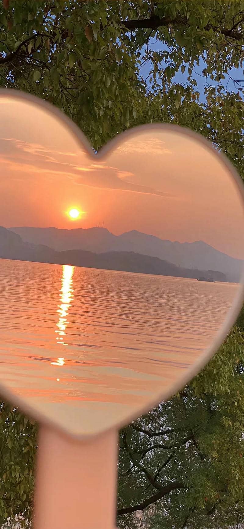 Bài viết liên quan terus