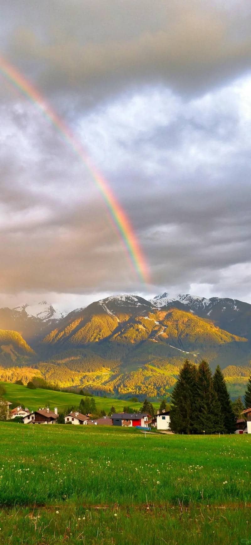 hình nền Iphone 15 (21)