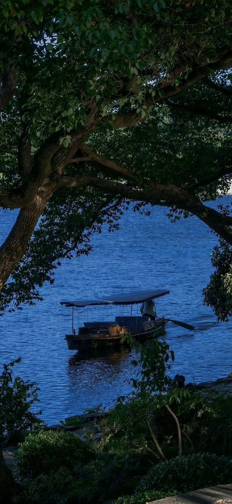 hình nền Iphone 15 (24)