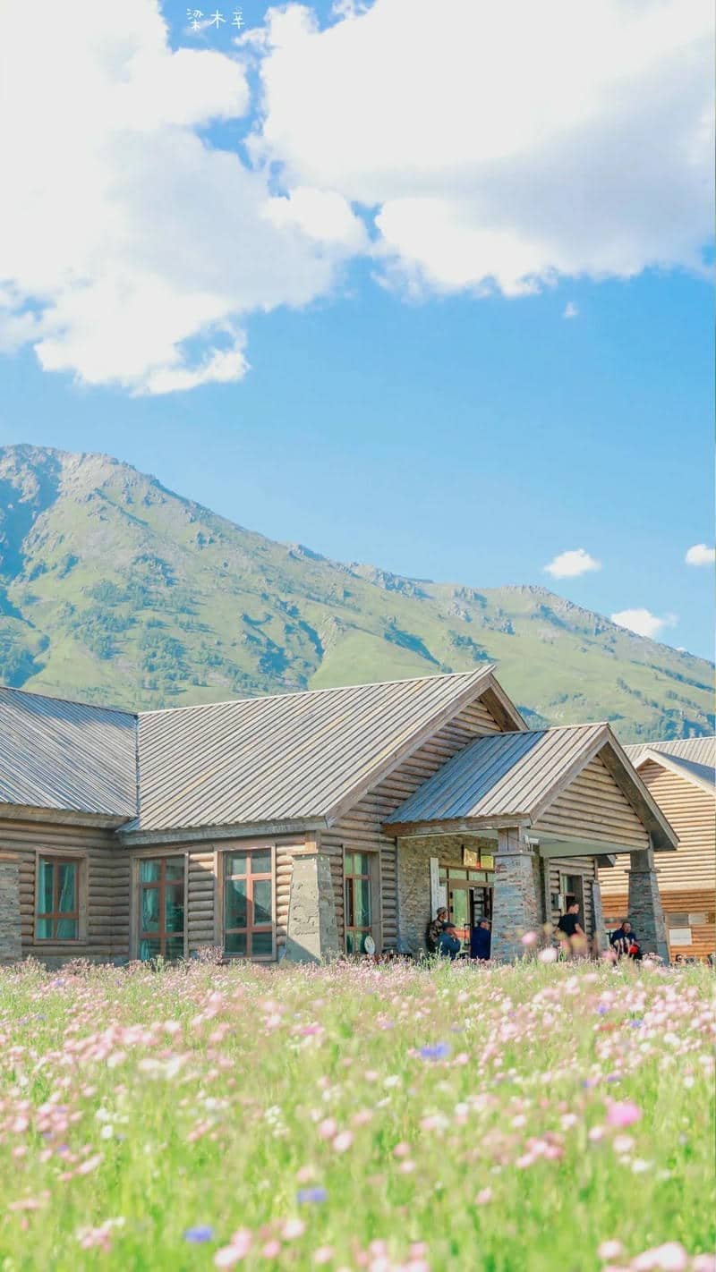 hình nền Iphone 15 (32)