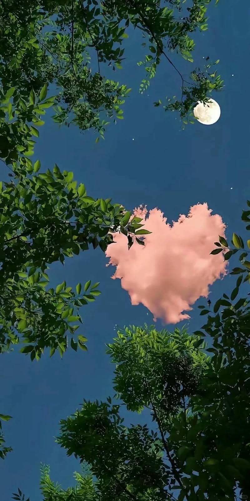 hình nền Iphone 15 (33)