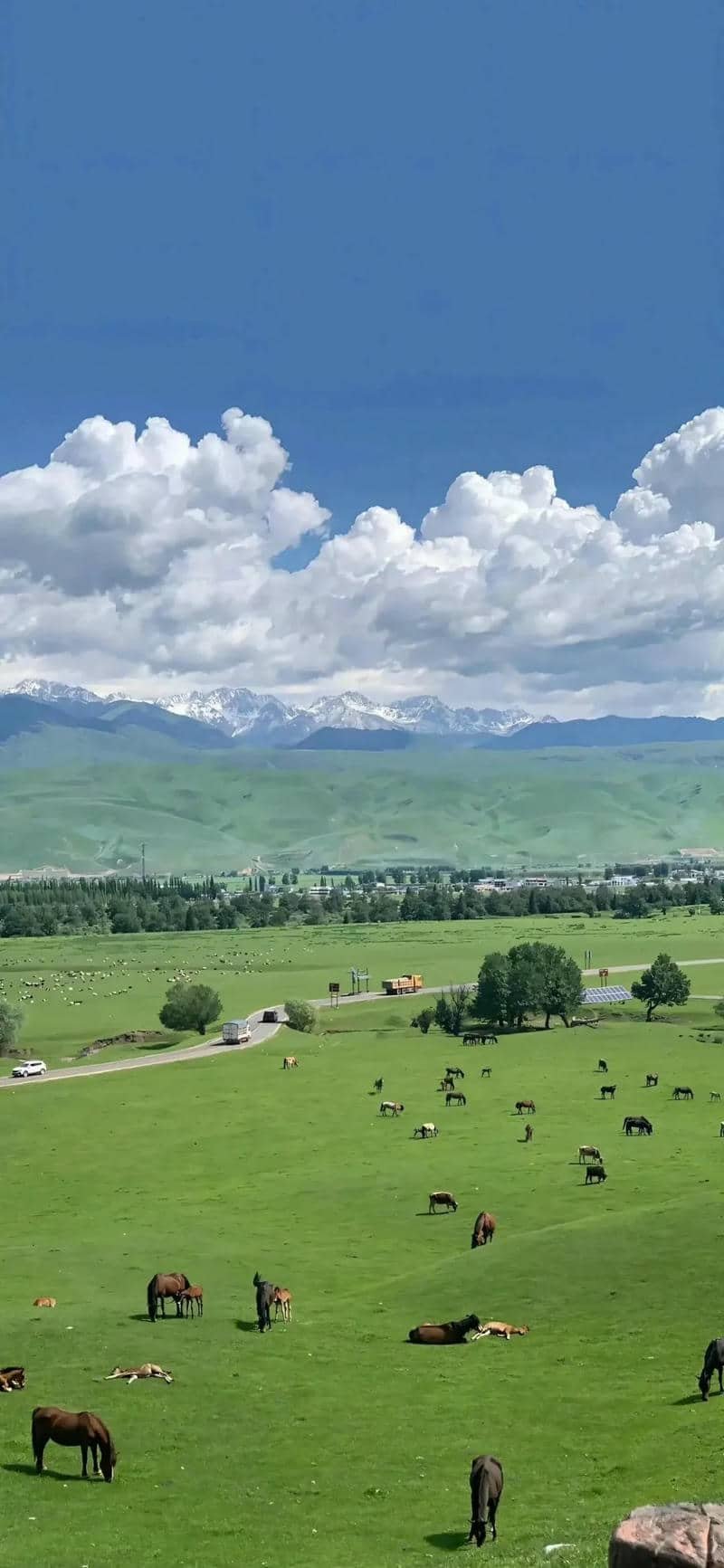 hình nền Iphone 15 (37)