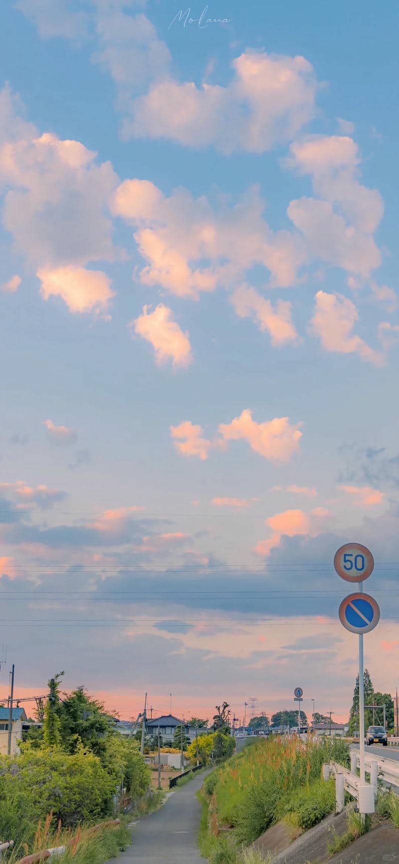 hình nền Iphone 15 (38)