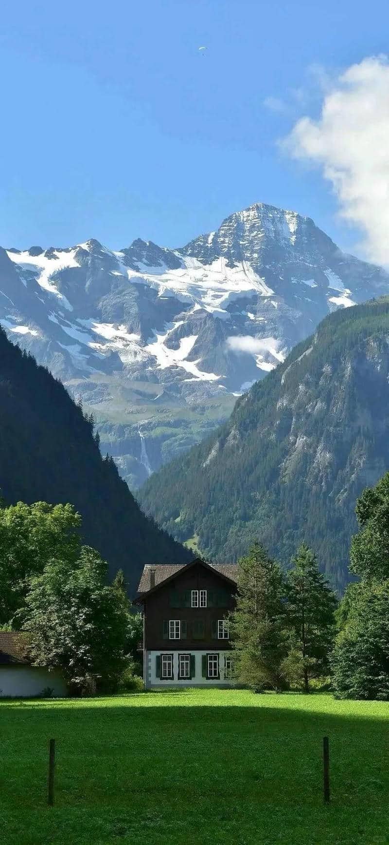 hình nền Iphone 15 (39)