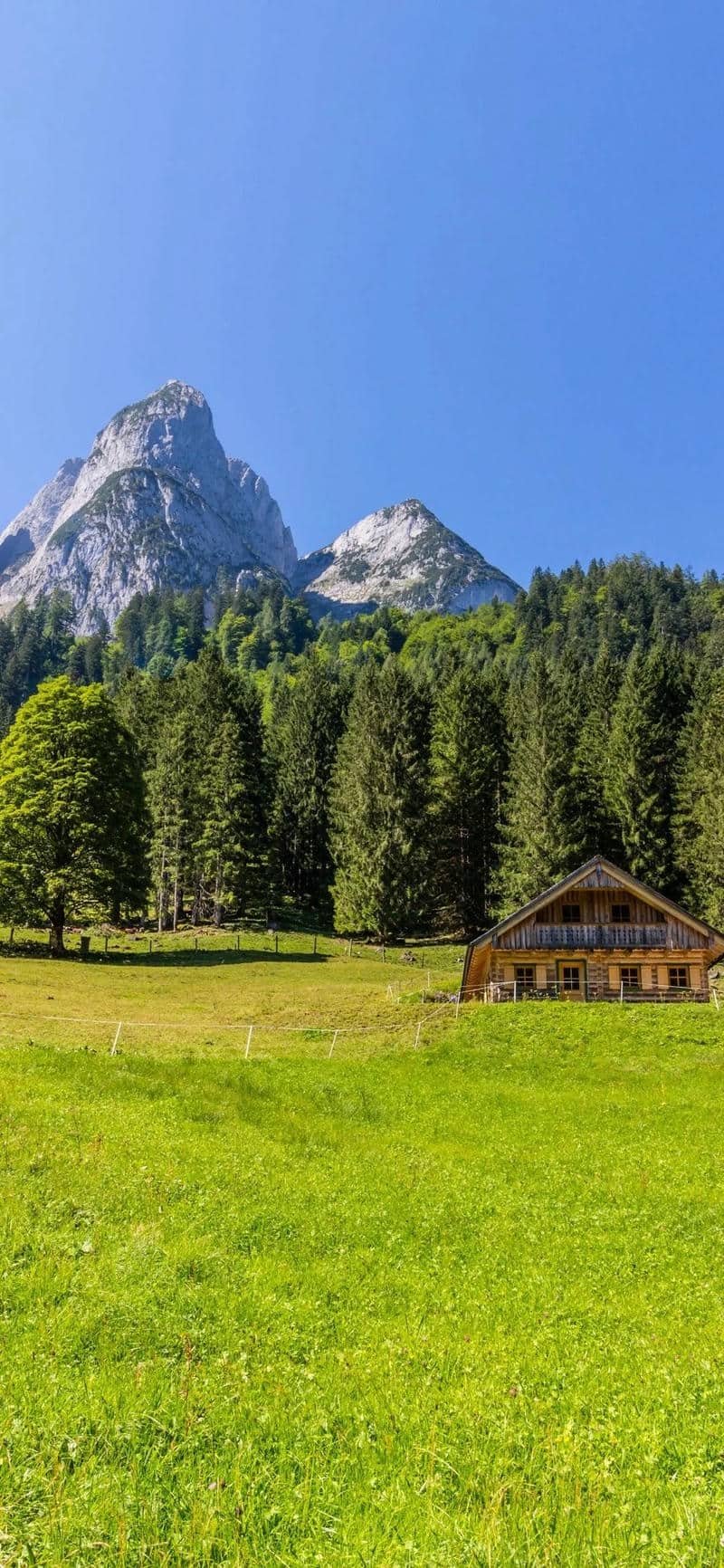 hình nền Iphone 15 (7)