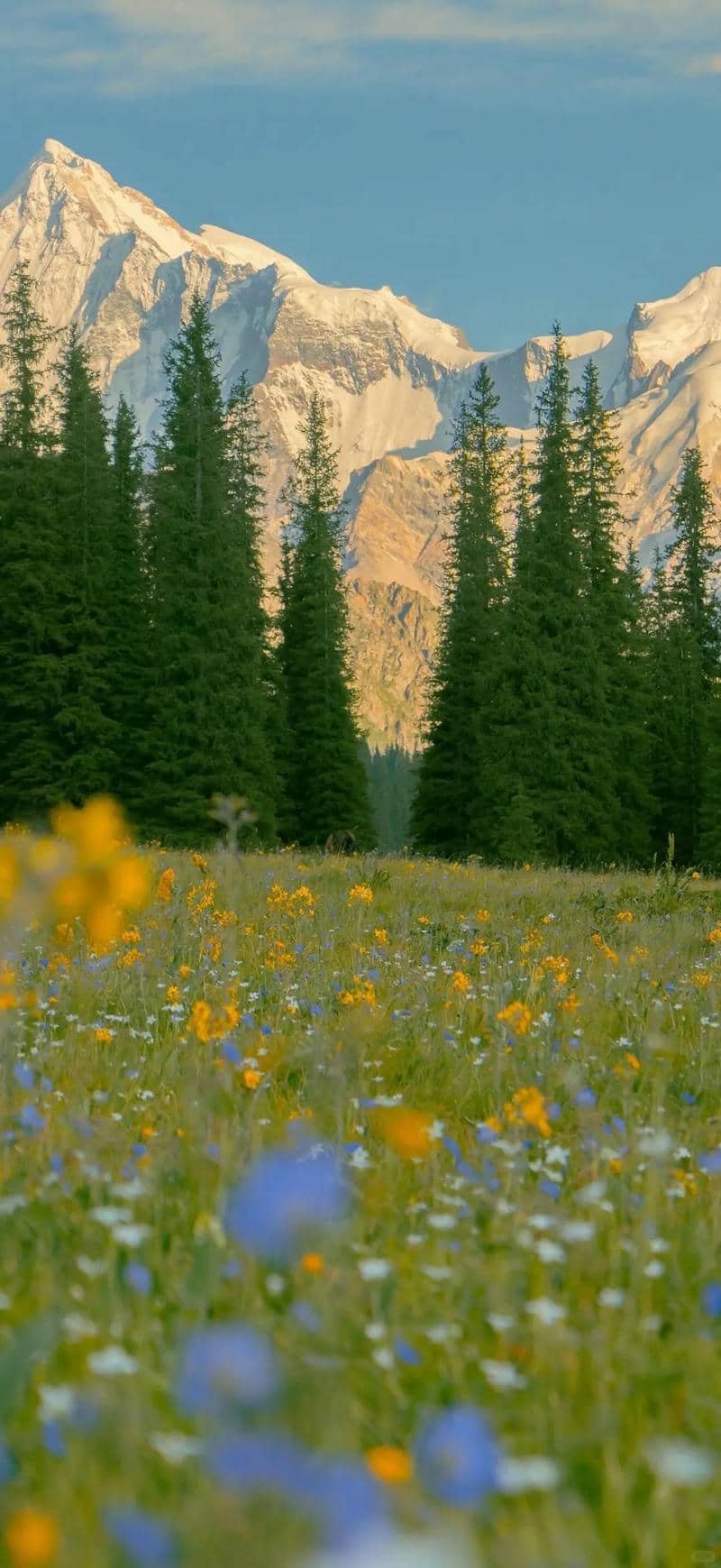 hình nền Iphone 17 (10)