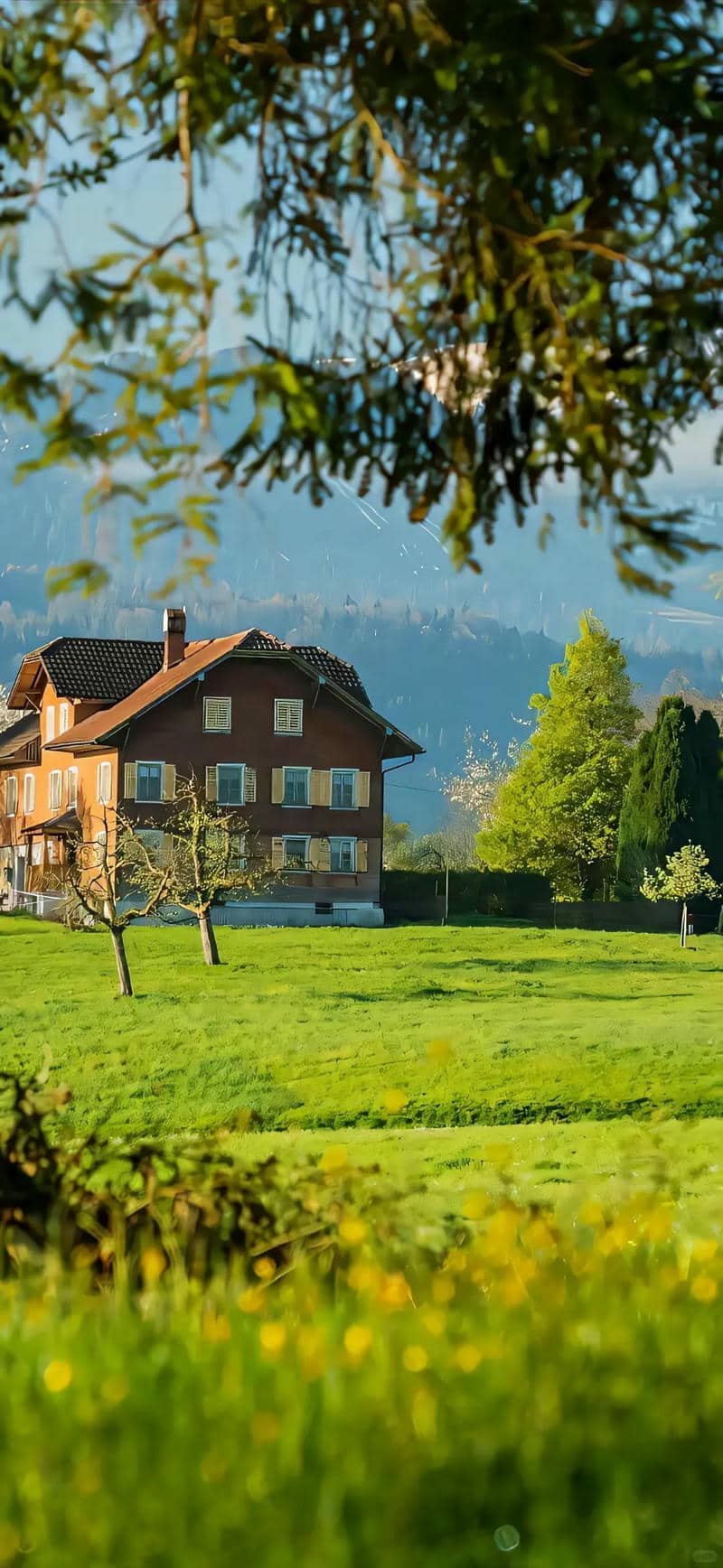 hình nền Iphone 17 (15)