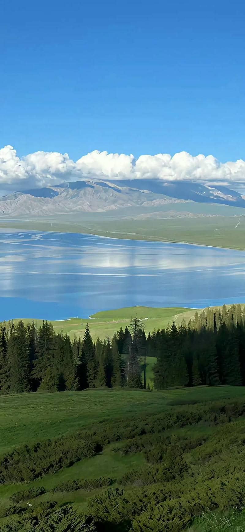 hình nền Iphone 17 (17)