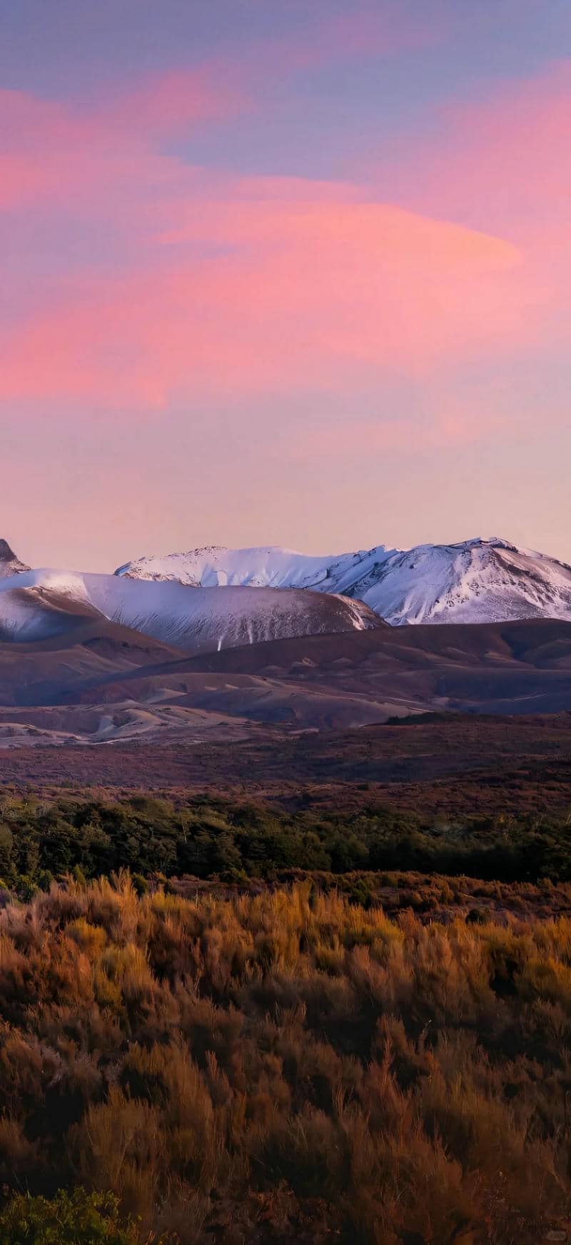 hình nền Iphone 17 (19)