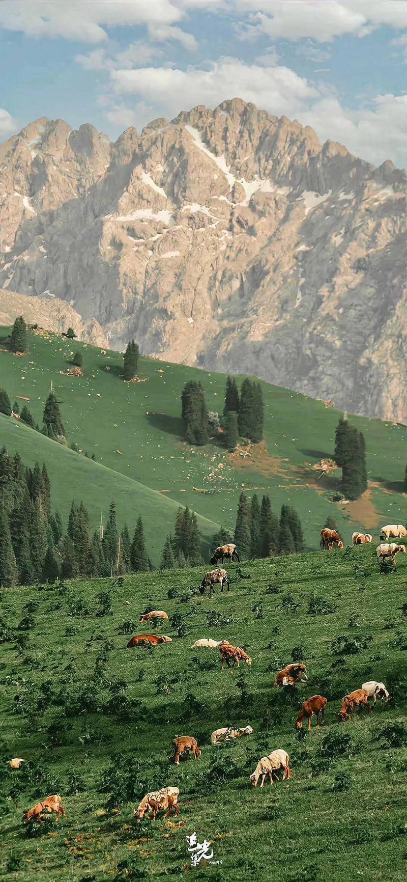 hình nền Iphone 17 (26)