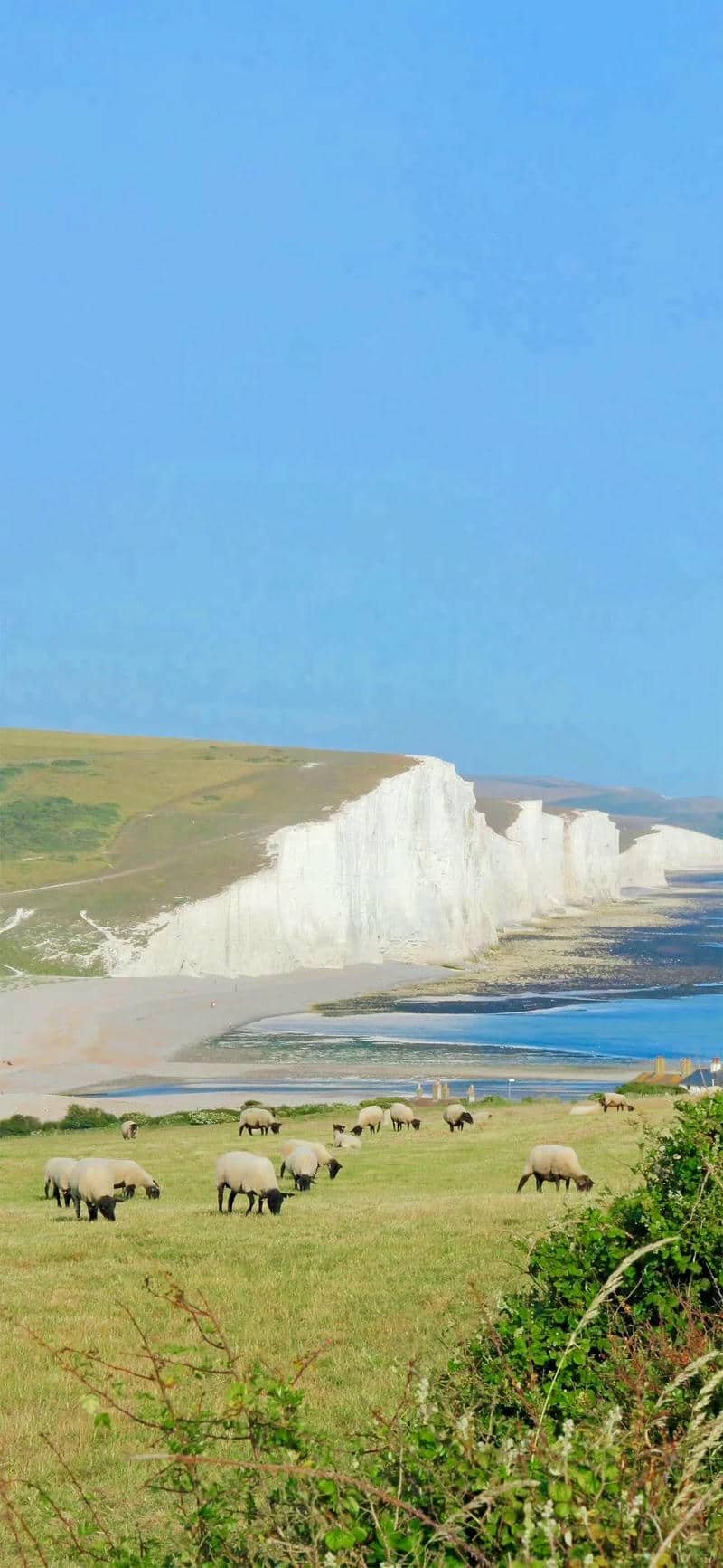 hình nền Iphone 17 (28)