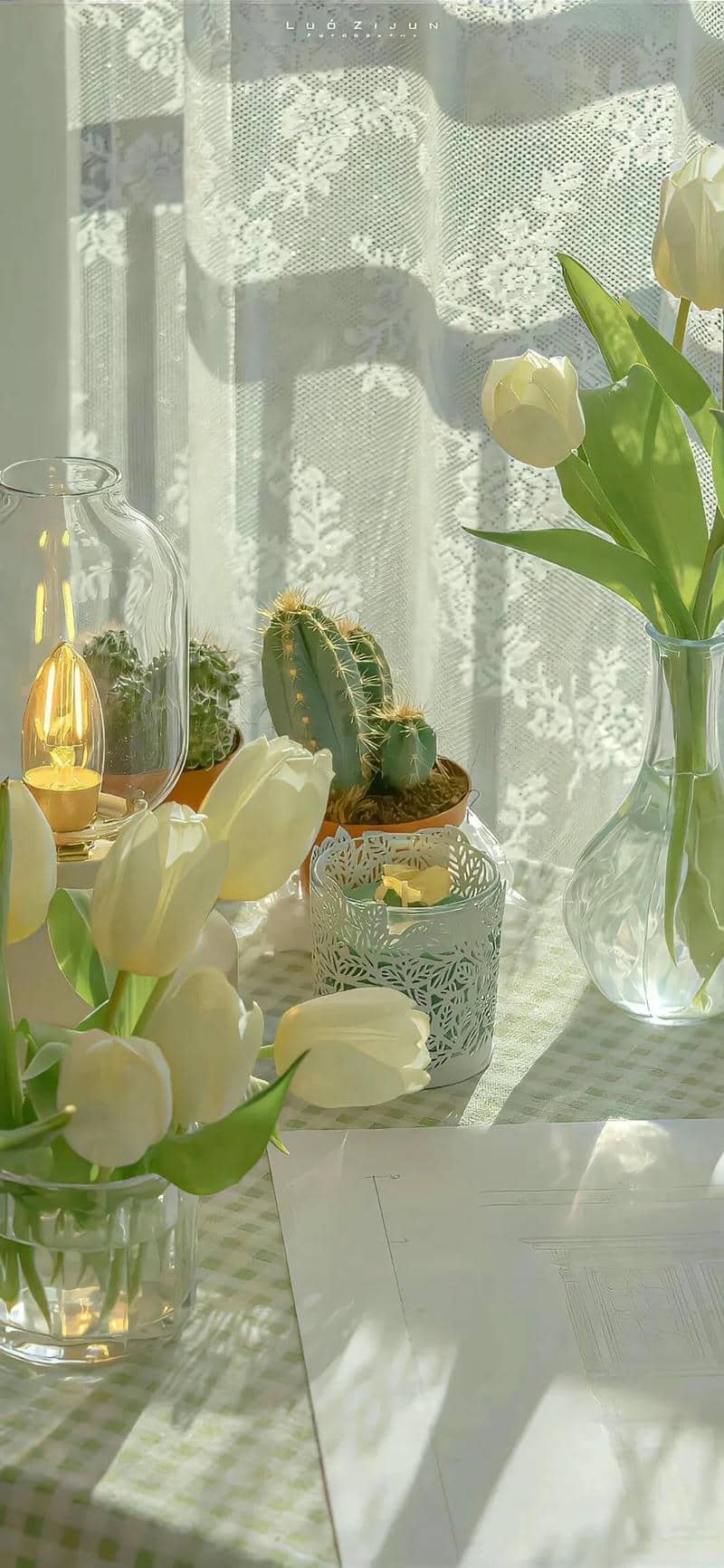 hình nền Iphone 17 (32)