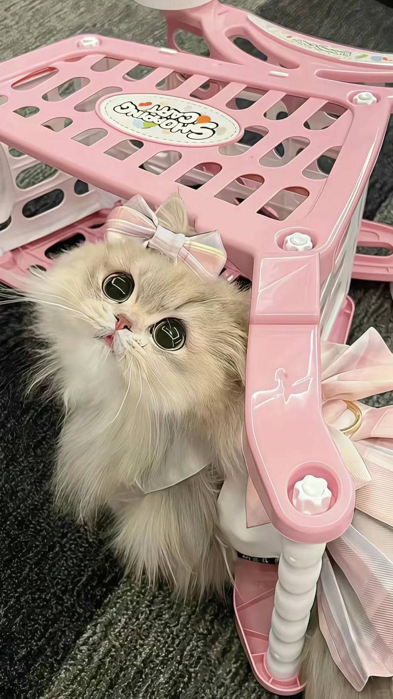 hình nền Iphone 17 (38)