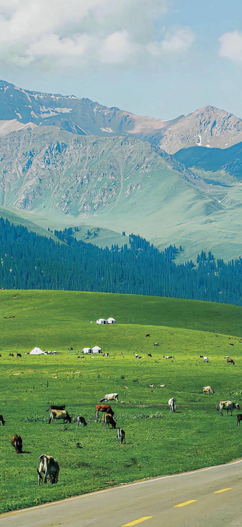 Thumbnail Tổng hợp 89+ hình nền iPhone 17 sắc nét, thời thượng