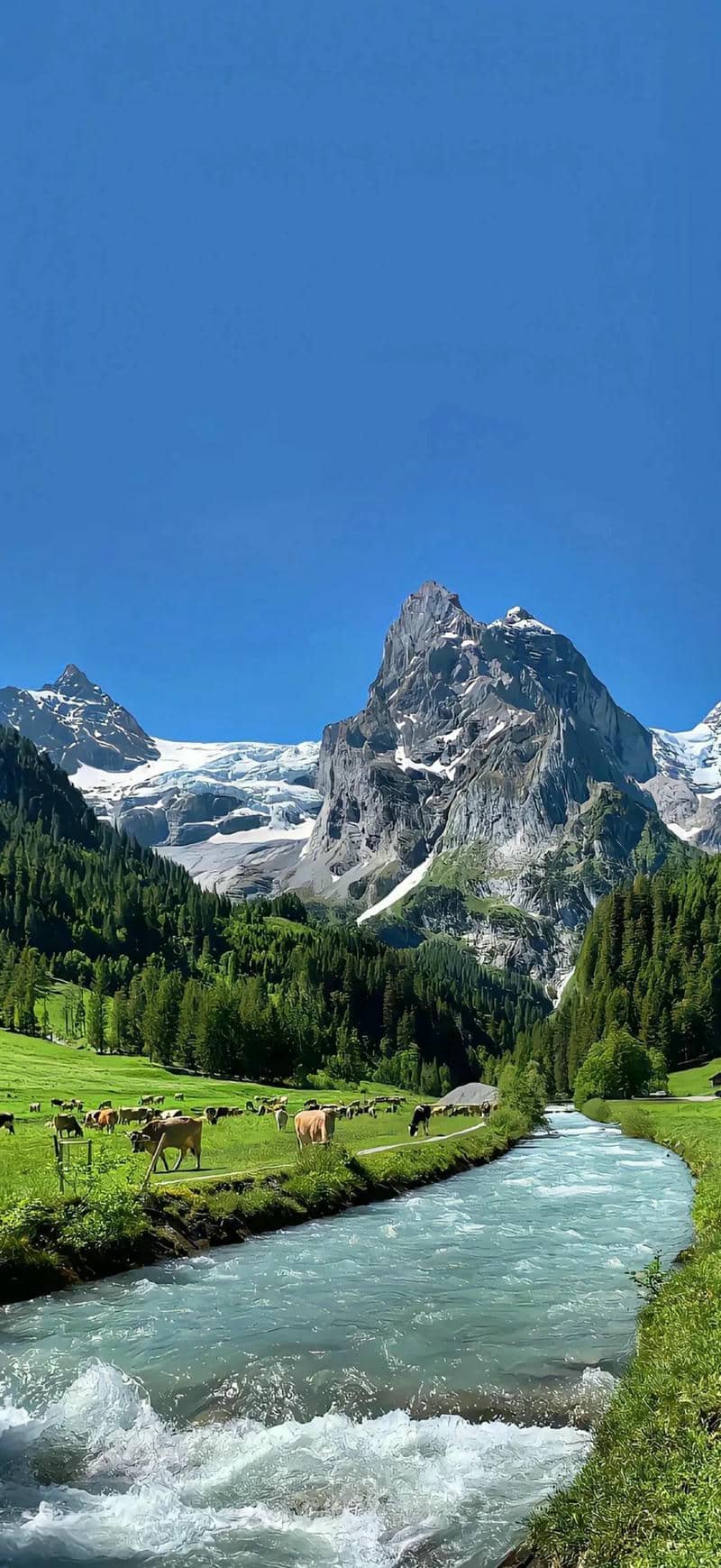 hình nền Iphone 17 (6)