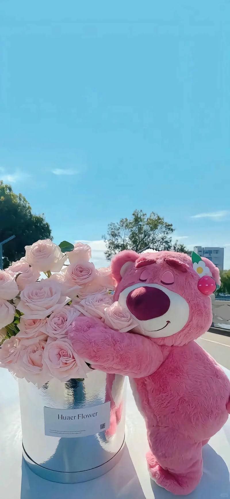 hình nền Iphone (25)