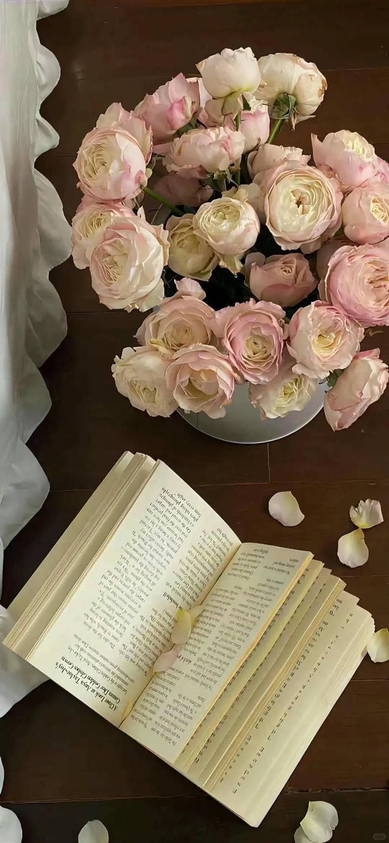 hình nền Iphone (29)