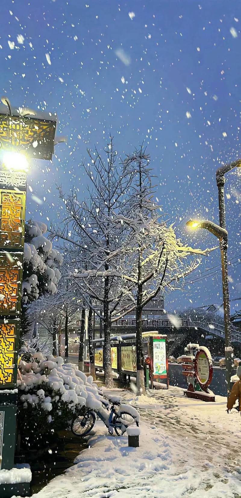 hình nền Iphone (31)