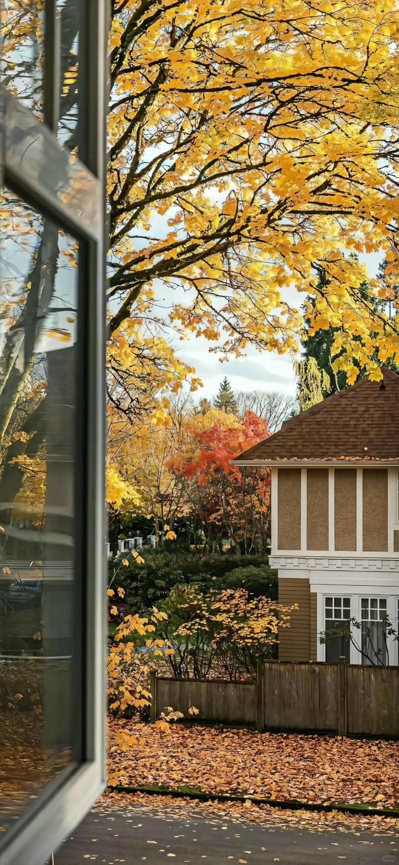 hình nền Iphone (36)