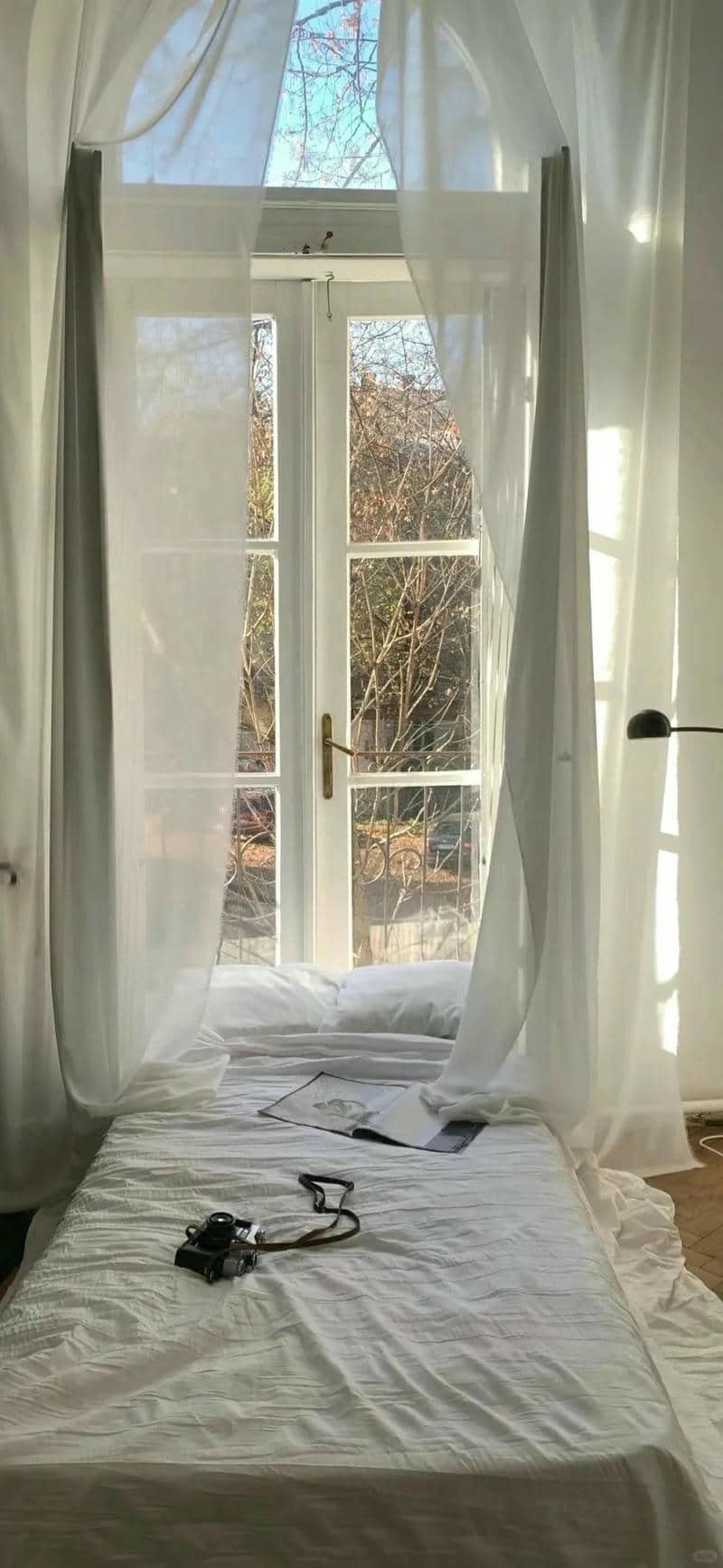 hình nền Iphone (43)