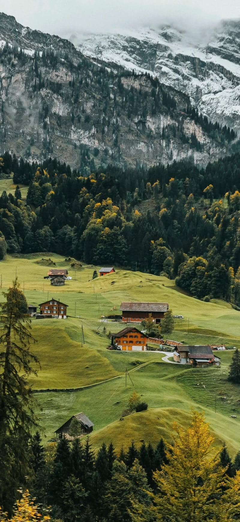 hình nền Iphone (45)